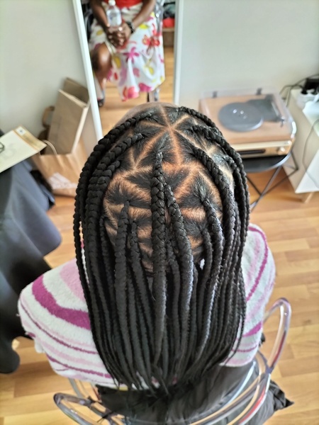 salon de coiffure afro tresse tresses box braids crochet braids vanilles tissages paris 75 77 78 91 92 93 94 95 NLGZIXBN