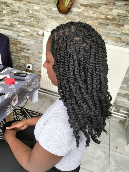 salon de coiffure afro tresse tresses box braids crochet braids vanilles tissages paris 75 77 78 91 92 93 94 95 WLMTMRUX