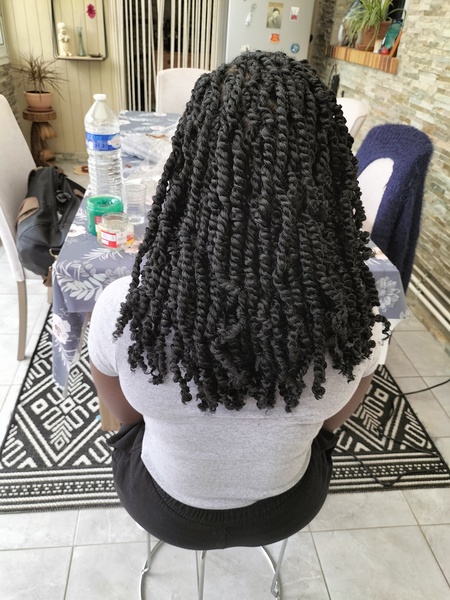 salon de coiffure afro tresse tresses box braids crochet braids vanilles tissages paris 75 77 78 91 92 93 94 95 PDLAIOMW