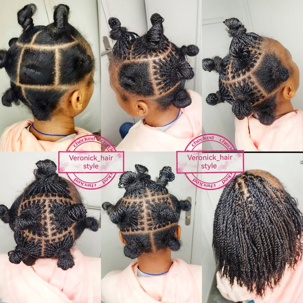 salon de coiffure afro tresse tresses box braids crochet braids vanilles tissages paris 75 77 78 91 92 93 94 95 OBXXHTOP