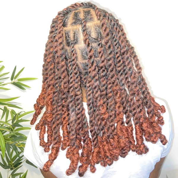 salon de coiffure afro tresse tresses box braids crochet braids vanilles tissages paris 75 77 78 91 92 93 94 95 FSVQSZTO