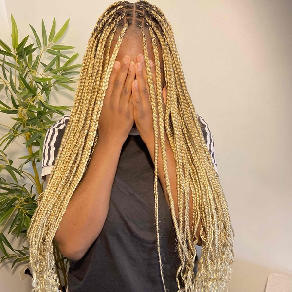 salon de coiffure afro tresse tresses box braids crochet braids vanilles tissages paris 75 77 78 91 92 93 94 95 SWZBKGOW