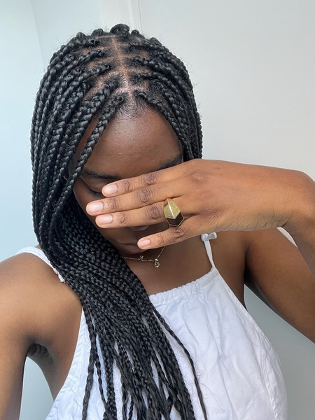 salon de coiffure afro tresse tresses box braids crochet braids vanilles tissages paris 75 77 78 91 92 93 94 95 IGMCJTYS
