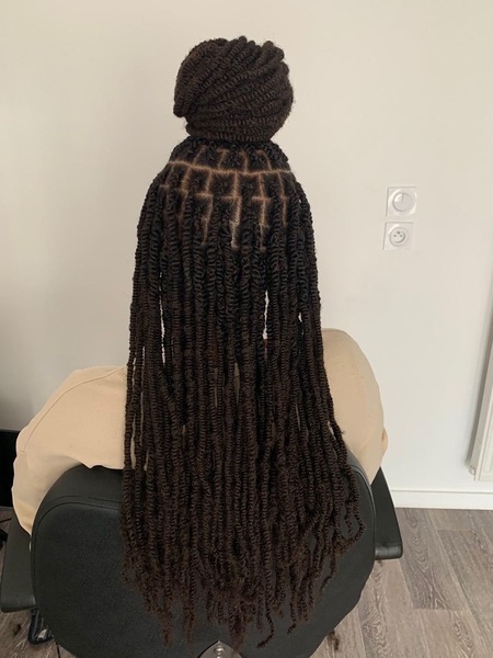 salon de coiffure afro tresse tresses box braids crochet braids vanilles tissages paris 75 77 78 91 92 93 94 95 DBALXPRT