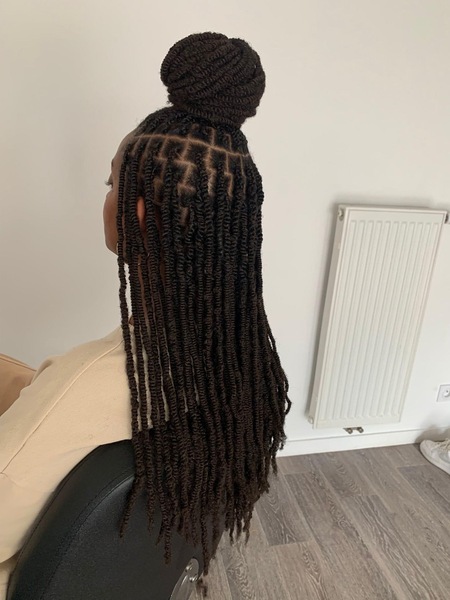 salon de coiffure afro tresse tresses box braids crochet braids vanilles tissages paris 75 77 78 91 92 93 94 95 EYXXULPN