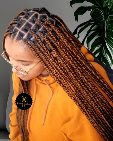 salon de coiffure afro tresse tresses box braids crochet braids vanilles tissages paris 75 77 78 91 92 93 94 95 HIPIFREI
