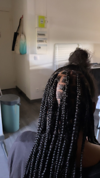 salon de coiffure afro tresse tresses box braids crochet braids vanilles tissages paris 75 77 78 91 92 93 94 95 OHCIPCZW