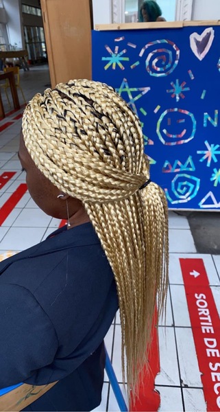 salon de coiffure afro tresse tresses box braids crochet braids vanilles tissages paris 75 77 78 91 92 93 94 95 TVTDTXTM