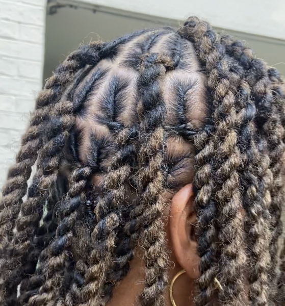 salon de coiffure afro tresse tresses box braids crochet braids vanilles tissages paris 75 77 78 91 92 93 94 95 XTAJWSUZ