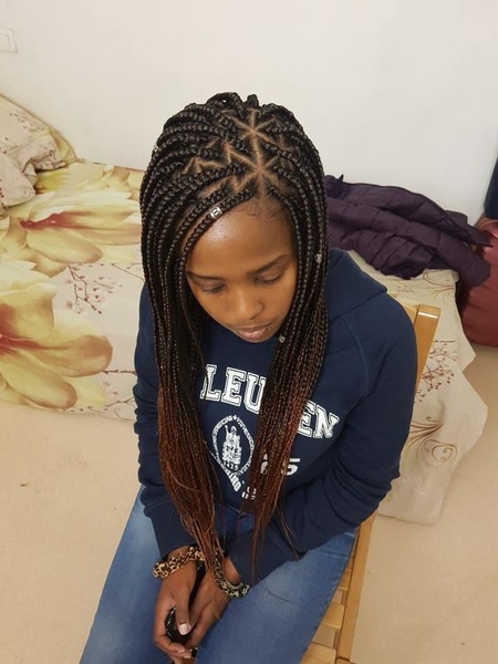salon de coiffure afro tresse tresses box braids crochet braids vanilles tissages paris 75 77 78 91 92 93 94 95 HWGOMYKJ