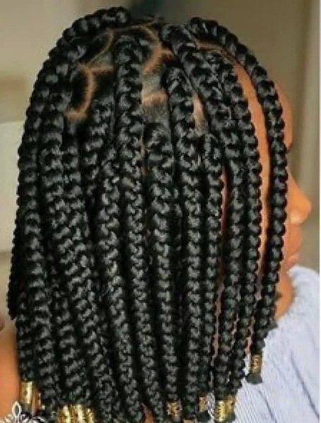 salon de coiffure afro tresse tresses box braids crochet braids vanilles tissages paris 75 77 78 91 92 93 94 95 GHPRJCEI