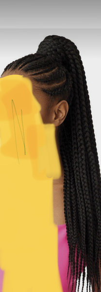 salon de coiffure afro tresse tresses box braids crochet braids vanilles tissages paris 75 77 78 91 92 93 94 95 RIIQLXMZ