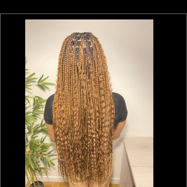 salon de coiffure afro tresse tresses box braids crochet braids vanilles tissages paris 75 77 78 91 92 93 94 95 TGAOZDIB