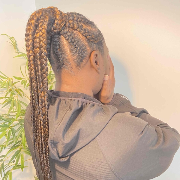 salon de coiffure afro tresse tresses box braids crochet braids vanilles tissages paris 75 77 78 91 92 93 94 95 CHNJQCSH