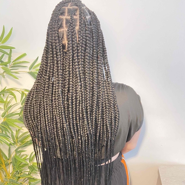 salon de coiffure afro tresse tresses box braids crochet braids vanilles tissages paris 75 77 78 91 92 93 94 95 PNYQPVZH