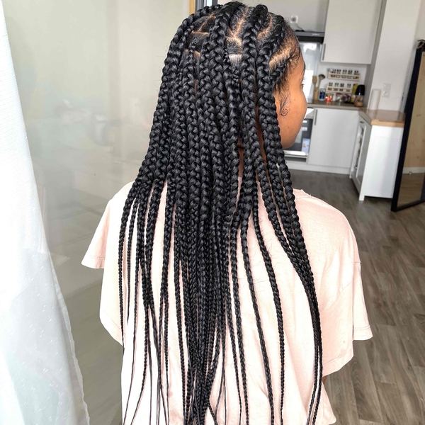 salon de coiffure afro tresse tresses box braids crochet braids vanilles tissages paris 75 77 78 91 92 93 94 95 JHJLROKS