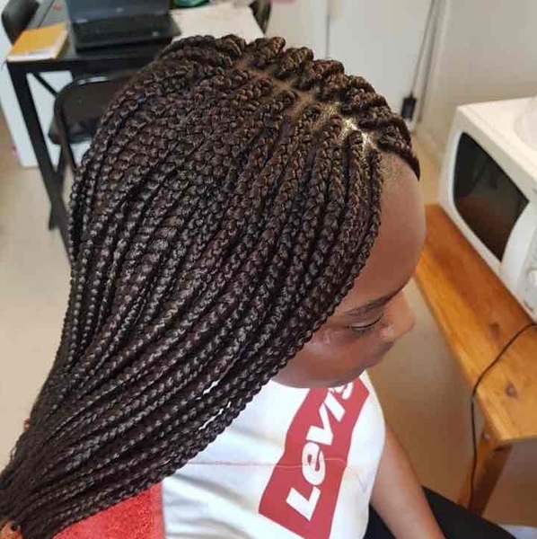 salon de coiffure afro tresse tresses box braids crochet braids vanilles tissages paris 75 77 78 91 92 93 94 95 EANEGXXG