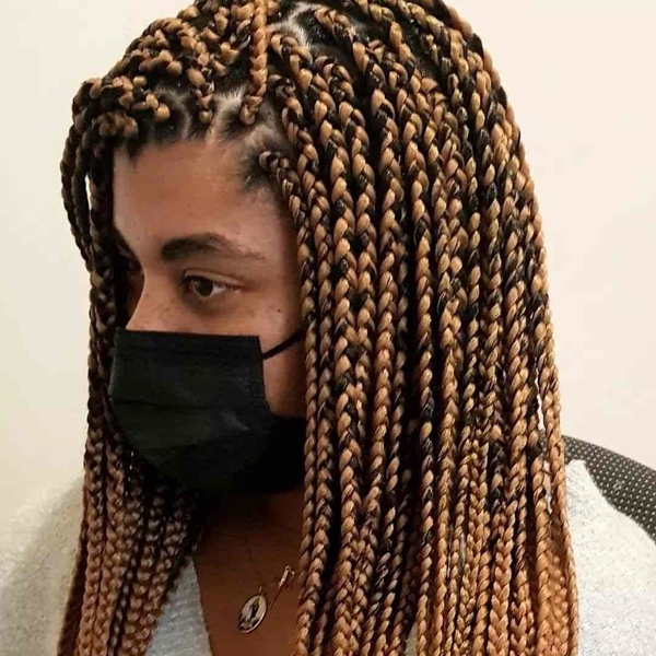 salon de coiffure afro tresse tresses box braids crochet braids vanilles tissages paris 75 77 78 91 92 93 94 95 OFZXXGBG