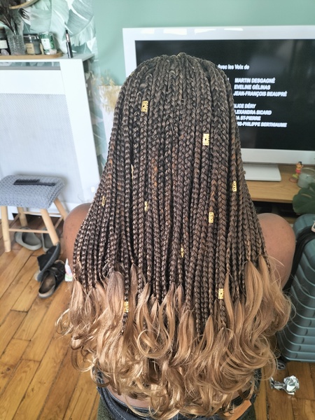salon de coiffure afro tresse tresses box braids crochet braids vanilles tissages paris 75 77 78 91 92 93 94 95 WNUHJBAE