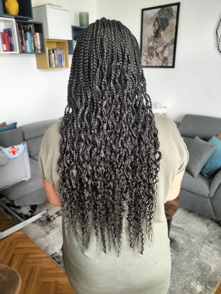 salon de coiffure afro tresse tresses box braids crochet braids vanilles tissages paris 75 77 78 91 92 93 94 95 XFMQUDLF