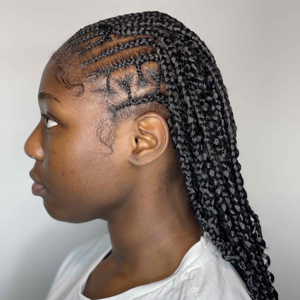 salon de coiffure afro tresse tresses box braids crochet braids vanilles tissages paris 75 77 78 91 92 93 94 95 XGKIAAZB