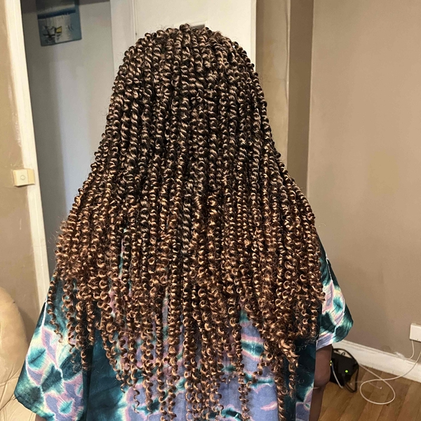 salon de coiffure afro tresse tresses box braids crochet braids vanilles tissages paris 75 77 78 91 92 93 94 95 AKHHCYNJ