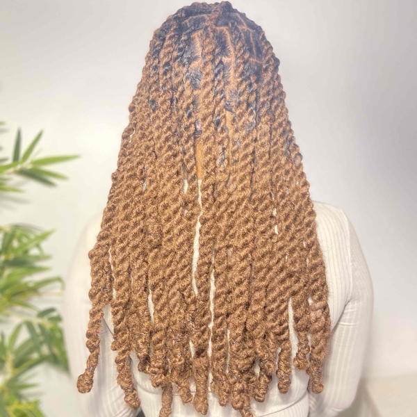 salon de coiffure afro tresse tresses box braids crochet braids vanilles tissages paris 75 77 78 91 92 93 94 95 PEGBRKCC