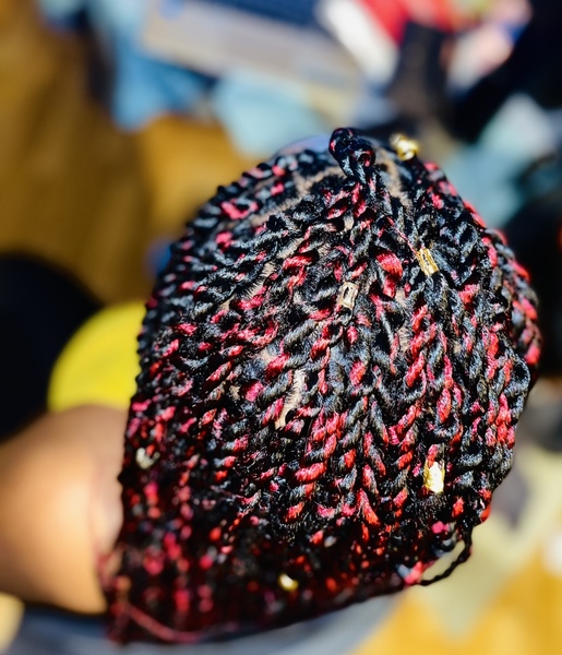 salon de coiffure afro tresse tresses box braids crochet braids vanilles tissages paris 75 77 78 91 92 93 94 95 HWXBYHCW