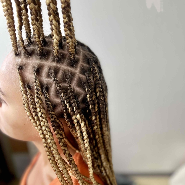 salon de coiffure afro tresse tresses box braids crochet braids vanilles tissages paris 75 77 78 91 92 93 94 95 VKARCSGR