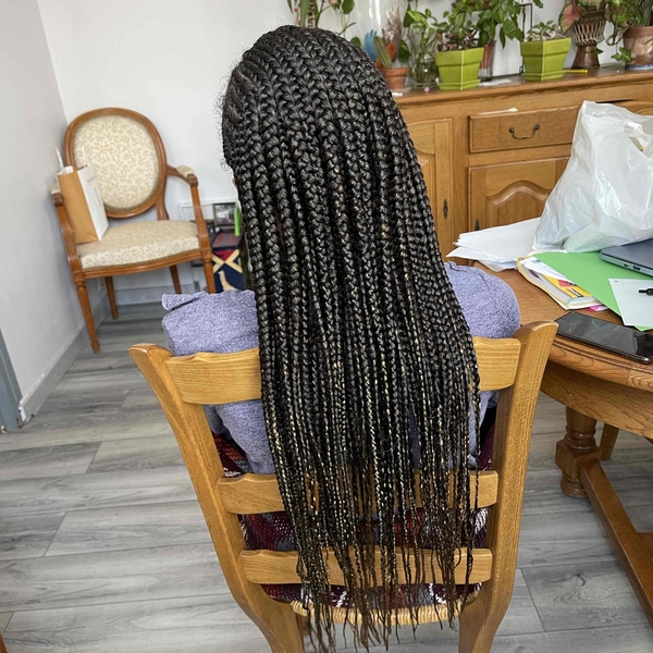 salon de coiffure afro tresse tresses box braids crochet braids vanilles tissages paris 75 77 78 91 92 93 94 95 AMHUAEXE