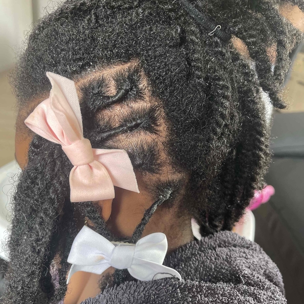 salon de coiffure afro tresse tresses box braids crochet braids vanilles tissages paris 75 77 78 91 92 93 94 95 LGSLTNUQ
