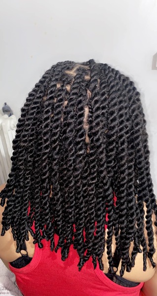 salon de coiffure afro tresse tresses box braids crochet braids vanilles tissages paris 75 77 78 91 92 93 94 95 LKMLQXWW