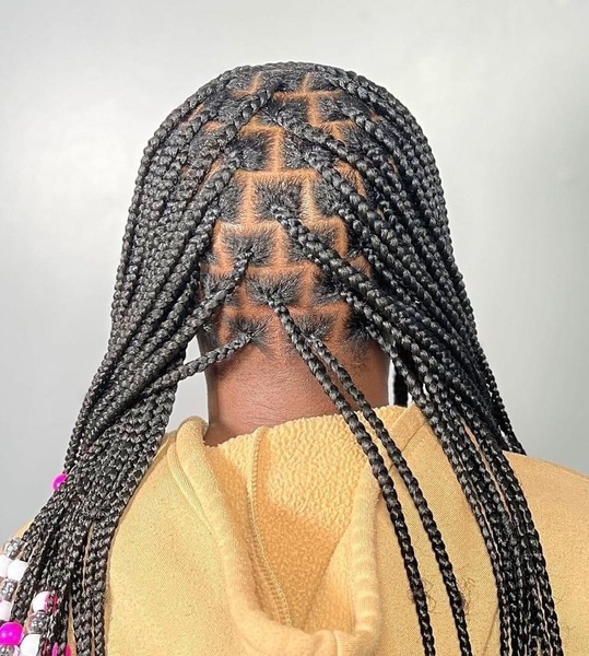 salon de coiffure afro tresse tresses box braids crochet braids vanilles tissages paris 75 77 78 91 92 93 94 95 XLTPVRGA