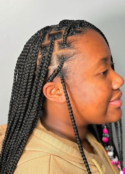 salon de coiffure afro tresse tresses box braids crochet braids vanilles tissages paris 75 77 78 91 92 93 94 95 BIIGDDHN