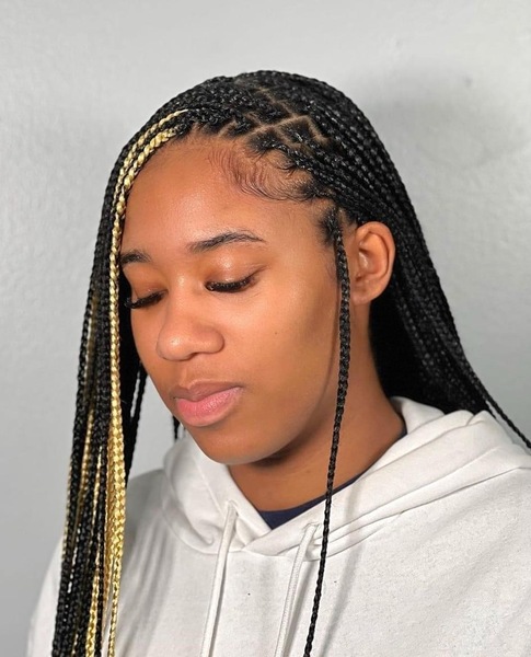 salon de coiffure afro tresse tresses box braids crochet braids vanilles tissages paris 75 77 78 91 92 93 94 95 ARPUPNIV