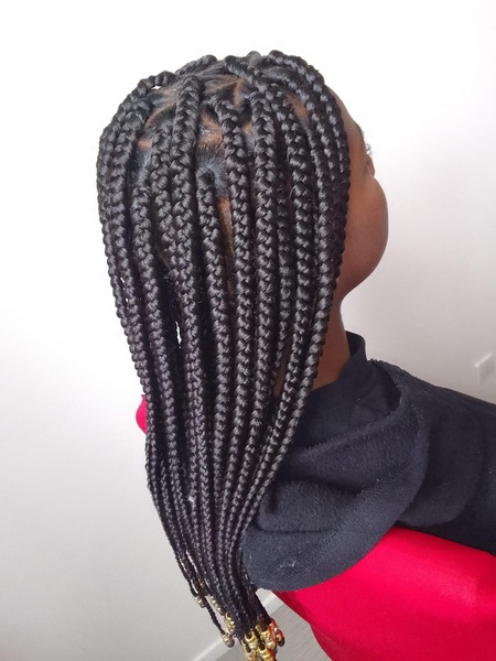 salon de coiffure afro tresse tresses box braids crochet braids vanilles tissages paris 75 77 78 91 92 93 94 95 SSMJBVAU