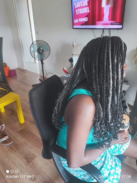 salon de coiffure afro tresse tresses box braids crochet braids vanilles tissages paris 75 77 78 91 92 93 94 95 XHFPXJQL