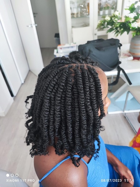 salon de coiffure afro tresse tresses box braids crochet braids vanilles tissages paris 75 77 78 91 92 93 94 95 PDKFGQYV
