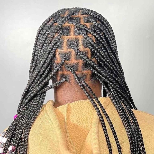 salon de coiffure afro tresse tresses box braids crochet braids vanilles tissages paris 75 77 78 91 92 93 94 95 QIJQKZMI