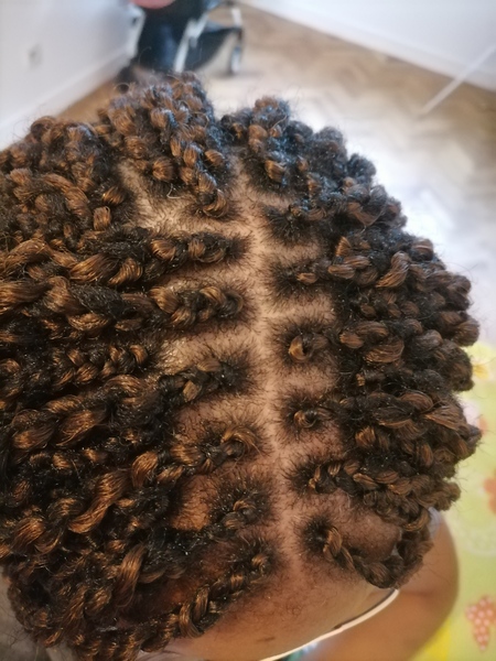 salon de coiffure afro tresse tresses box braids crochet braids vanilles tissages paris 75 77 78 91 92 93 94 95 BESGQQOM