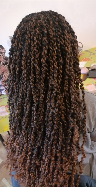 salon de coiffure afro tresse tresses box braids crochet braids vanilles tissages paris 75 77 78 91 92 93 94 95 MXAJENNM