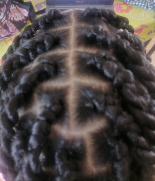 salon de coiffure afro tresse tresses box braids crochet braids vanilles tissages paris 75 77 78 91 92 93 94 95 AQXZECGI