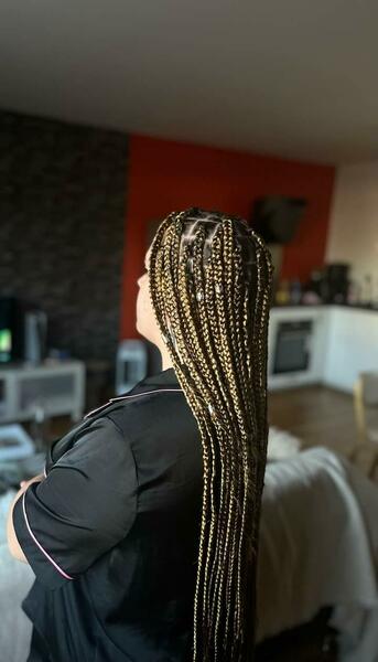 salon de coiffure afro tresse tresses box braids crochet braids vanilles tissages paris 75 77 78 91 92 93 94 95 KKIDEAYH