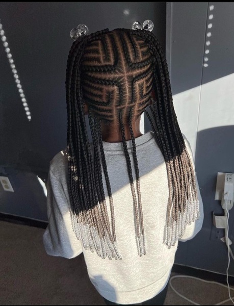 salon de coiffure afro tresse tresses box braids crochet braids vanilles tissages paris 75 77 78 91 92 93 94 95 PLGDDPPM