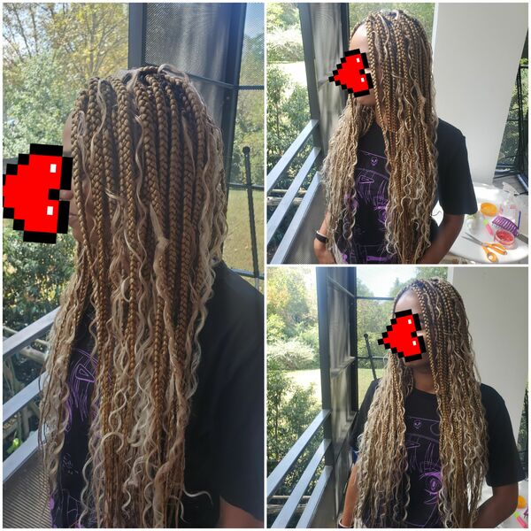 salon de coiffure afro tresse tresses box braids crochet braids vanilles tissages paris 75 77 78 91 92 93 94 95 FPOSIKHY