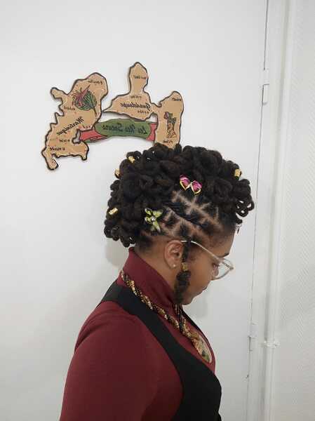 salon de coiffure afro tresse tresses box braids crochet braids vanilles tissages paris 75 77 78 91 92 93 94 95 IRALFQML