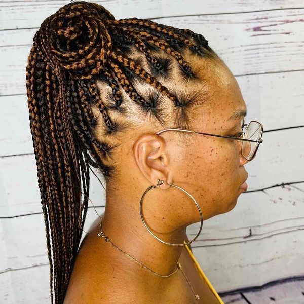 salon de coiffure afro tresse tresses box braids crochet braids vanilles tissages paris 75 77 78 91 92 93 94 95 TGCEUJAI