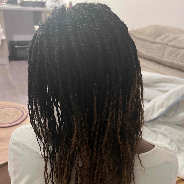 salon de coiffure afro tresse tresses box braids crochet braids vanilles tissages paris 75 77 78 91 92 93 94 95 PLZZSMTS