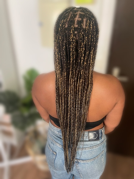 salon de coiffure afro tresse tresses box braids crochet braids vanilles tissages paris 75 77 78 91 92 93 94 95 WMVPDAIW