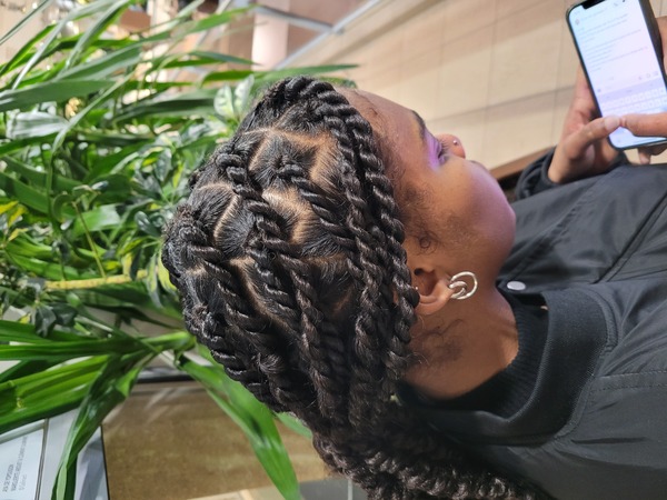 salon de coiffure afro tresse tresses box braids crochet braids vanilles tissages paris 75 77 78 91 92 93 94 95 TQIFFJCV